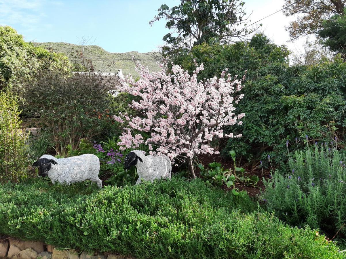 Over Karoo Inn Barrydale Exterior foto